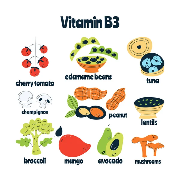 Główne źródła pożywienia witaminy B3. Koncepcja zdrowej żywności. — Wektor stockowy