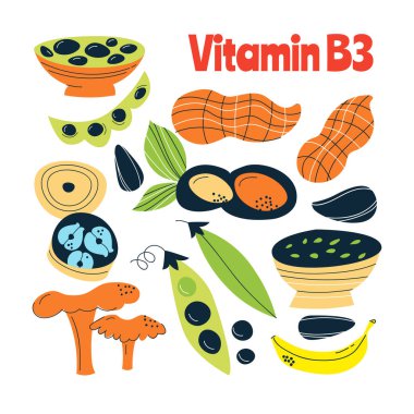 B3 vitamini ana gıda kaynakları lahana, balık, et, fındık, domates. El çizimi bir vektör illüstrasyonu. Farmakolojik ya da tıbbi afiş, broşür, afiş için mükemmel..