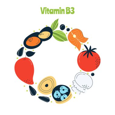 B3 vitamini ana gıda kaynakları lahana, balık, et, fındık, domates. El çizimi bir vektör illüstrasyonu. Farmakolojik ya da tıbbi afiş, broşür, afiş için mükemmel..