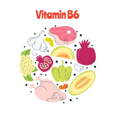 B6 vitamini ana gıda kaynakları lahana, balık, et, fındık, süt. El çizimi bir vektör illüstrasyonu. Farmakolojik ya da tıbbi afiş, broşür, afiş için mükemmel..