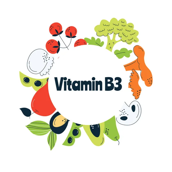 Las principales fuentes alimentarias de vitamina B3. Concepto de comida saludable. — Vector de stock