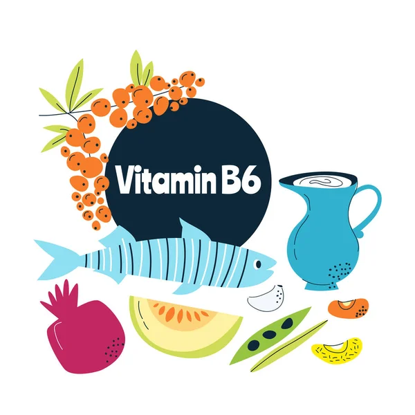 Las principales fuentes alimentarias de vitamina B6. Concepto de comida saludable. — Vector de stock