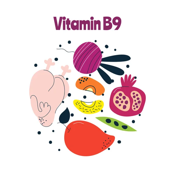 Las principales fuentes alimentarias de vitamina B9. Concepto de comida saludable. — Vector de stock