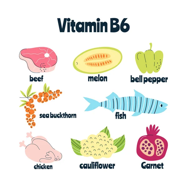 Vitamina Principales Fuentes Alimentos Col Pescado Carne Nueces Leche Ilustración — Vector de stock