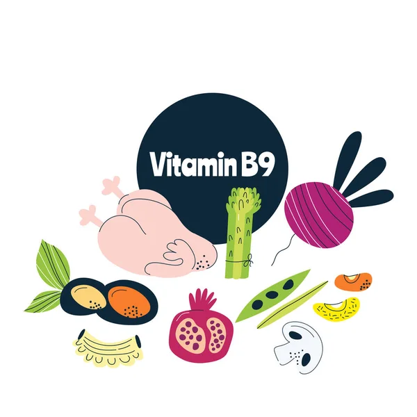 Vitamina Principales Fuentes Alimentos Pollo Carne Frijoles Brócoli Ilustración Vectorial — Vector de stock