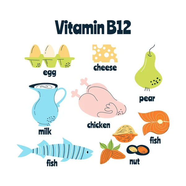 Vitamina B12 Principales Fuentes Alimentos Huevos Leche Pescado Ilustración Vectorial — Vector de stock