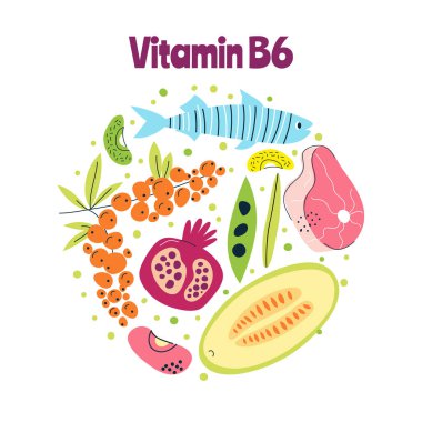 B6 vitamini ana gıda kaynakları lahana, balık, et, fındık, süt. El çizimi bir vektör illüstrasyonu. Farmakolojik ya da tıbbi afiş, broşür, afiş için mükemmel..