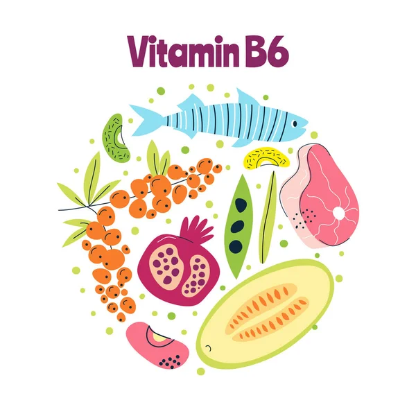 ビタミンB6主な食料源キャベツ ナッツ ミルク 手描きでベクトルイラスト 薬や医療のポスター チラシ バナーに最適です — ストックベクタ