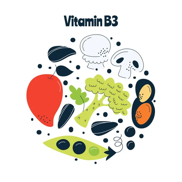 Vitamina Principais Fontes Alimentos Repolho Peixe Carne Nozes Tomate Ilustração —  Vetores de Stock