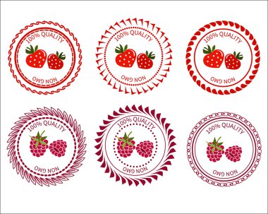Logo strawberries and raspberries