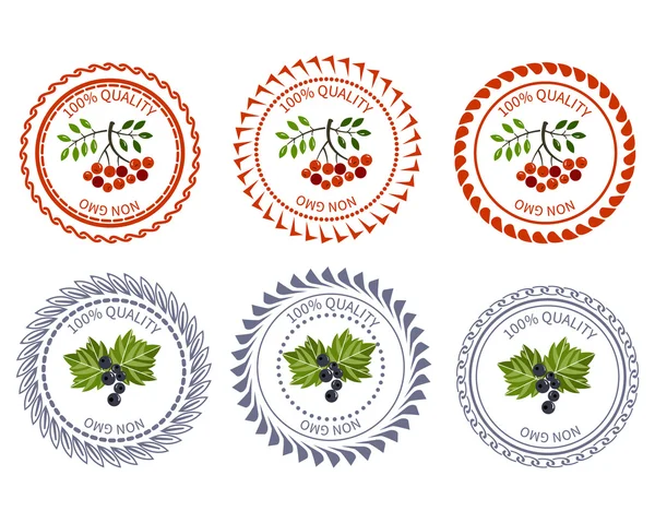 Logo paquete de elementos de diseño de grosella y serbal — Vector de stock