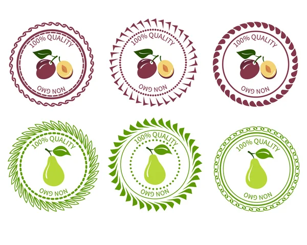 Logo plum and pear — Stock Vector