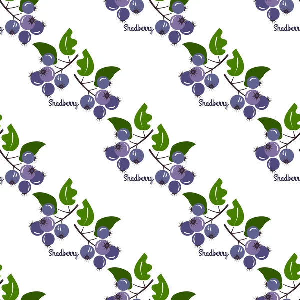 Saskatoon seamless pattern — стоковий вектор