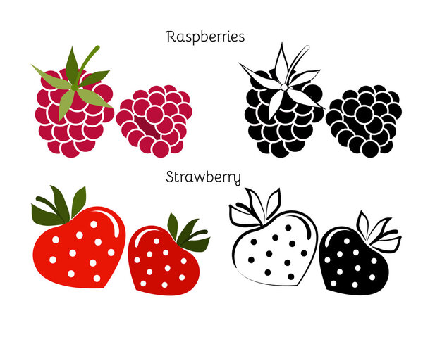 Векторный набор для садовой малины и клубники
