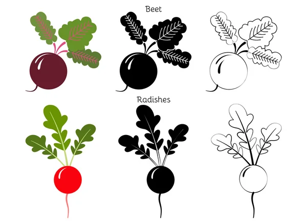 Ensemble vectoriel radis et betteraves — Image vectorielle