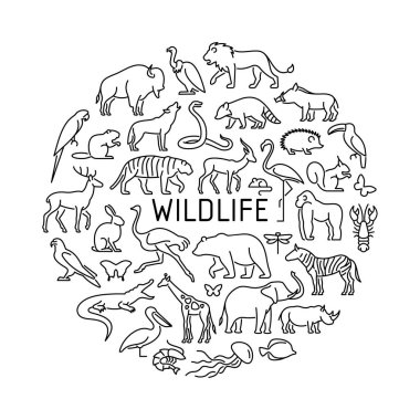 Wildlife vector icons circle concept. Animals, birds, sealife, insects illustration.