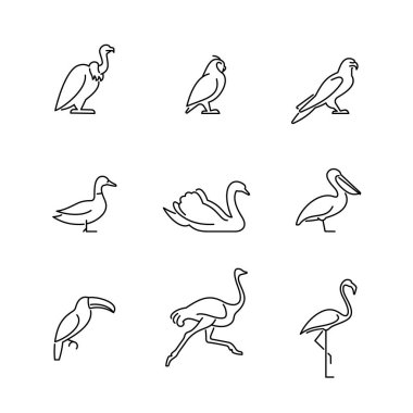 Kuş simgeleri ayarlandı. Vahşi yaşam vektör illüstrasyonu.