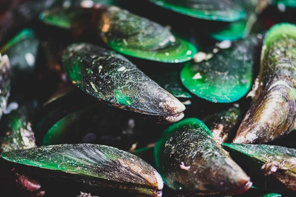 Konsep Makanan Latar Belakang Makro Dari Mussel Berbibir Hijau Thailand — Stok Foto