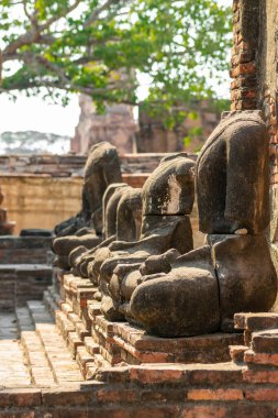 Wat Mahathat antik tapınağı Ayutthaya, Tayland 'da gün batımında ve gün ışığıyla aydınlandı.