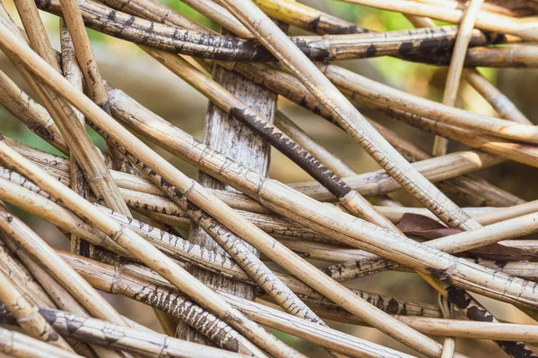 Fundo Abstrato Paus Bambu Madeira Seca Marrom — Fotografia de Stock