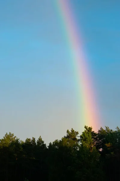 Regenbogen Blau Mit Grauem Wolkenhimmel Und Schwarzer Waldsilhouette Bei Sonnenuntergang — Stockfoto