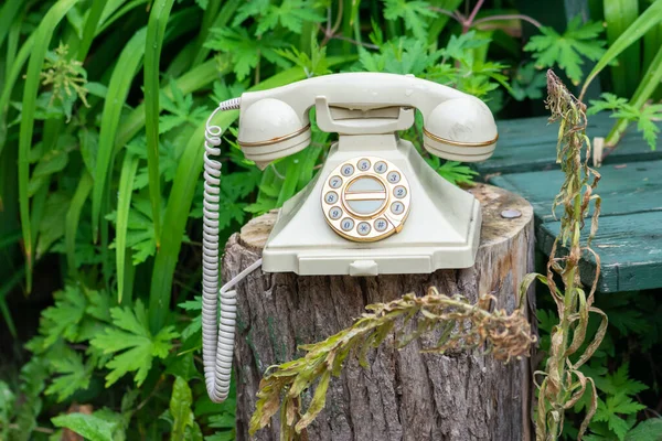 Muito Antigo Bege Telefone Retro Colocado Toco Árvore Fundo Verde — Fotografia de Stock