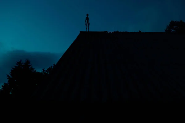 Sfコンセプトイラスト 青空の前で夜の間に納屋や家の屋根の上に立って輝く目を持つ地球外黒のシルエット ストックフォト
