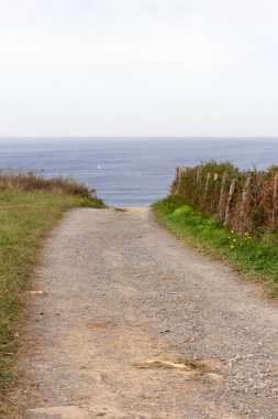 Denize giden boş bir yol. Camino de Santiago konsepti. Kırsal alan. Çayır boyunca sahile giden patika. Yürüyüş ve seyahat konsepti. Kırsal doğa. Bakış açısına göre köy yolu. Arka planda okyanus olan sakin bir manzara.
