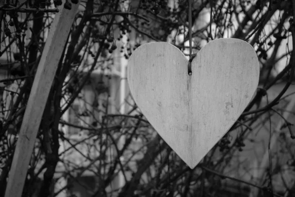 Белое Сердце Лентой Черное Белое Висячее Деревянное Сердце Монохромное Романтика — стоковое фото
