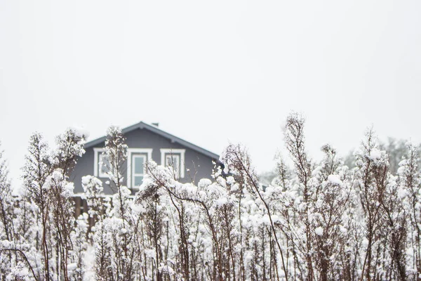 Landhaus Schneebedeckter Wiese Schöne Winterlandschaft Winterferienkonzept Ferienhaus Schnee Und Gefrorenem — Stockfoto