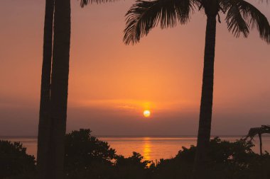 Hint Okyanusu üzerinde inanılmaz mor bir akşam gökyüzü. Tropikal sahilde, içi palmiye ağaçları siluetleriyle donuk bir gün batımı. Akşam karanlığında güneşli bir gün batımı. Sakin suyun üzerinde sakin bir alacakaranlık. Huzurlu deniz manzarası.
