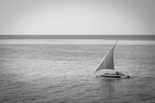 Sailboat on the sea, black and white. Regatta concept. Marine race. Yacht  on tropical seascape, monochrome. Summer recreation. Active sport background. Nautical vessel near island. Exotic leisure. Aerial seascape. Indian ocean background.