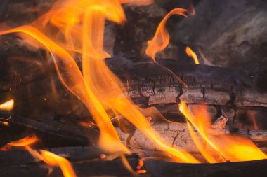 Şöminede yanan ahşap, yumuşak filtre. Tahta sopalar ve ateş ambarında kömür. Ateş ve odun. Piknik konsepti. Çevre tehlikesi. Şenlik ateşi yakın. Ormanda tatiller. 