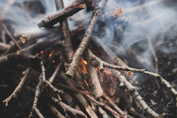 Şöminede yanan odun. Tahta çubuklar ve ateş topları. Ateş ve duman. Piknik konsepti. Çevre tehlikesi. Şenlik ateşi yakın. Ormanda Tatil. 