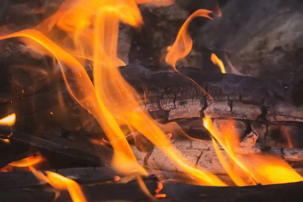Wood burning in fireplace, soft filter. Wooden sticks with coal in firecamp. Flame and wood. Picnic concept. Environment danger. Bonfire close up. Vacations in forest.