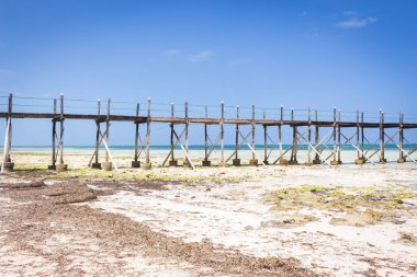 Güneşli bir günde ahşap iskele. Hint Okyanusu 'nun alçak gelgiti. Idyllic egzotik tatil köyü. Rıhtım perspektifi. Tropik cennet. Sahne sakin deniz manzarası. Yaz gezisi. Ahşap köprüsü olan sahili. Sakin bir göl. Güzel doğa.. 