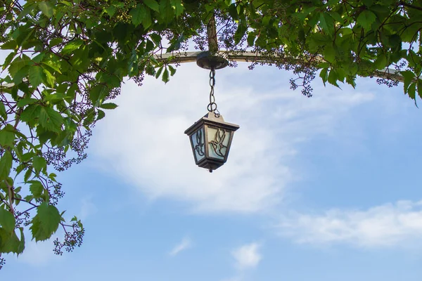 Old lantern on the tree. Green natural arch with old metal street lamp. Retro fashioned lamp in park. Outdoor illumination concept. Gardening art. Electric street lamp. Garden design.