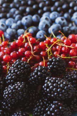 Blackberry, kırmızı frenk üzümü, siyah frenk üzümü ve yabanmersini yakından. Böğürtlen çeşitleri. Sağlıklı bir tatlı. Organik yiyecekler. Renkli meyve çeşitleri. Sağlıklı beslenme. Taze dut karışımı. Doğada vitamin ve antioksidan. 