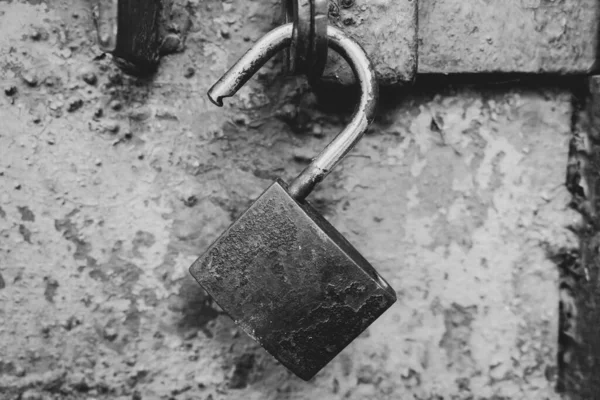 Old rusty padlock on door, monochrome. Open aged lock, black and white. Privacy and protection concept. Grunge fence with retro padlock. Vintage lock. Safe entry background. Vintage security. Entrance to the property.