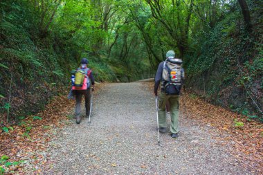 İspanya - 10.19.2019: Camino de Santiago 'da hareket halindeki iki bilinmeyen hacı. Ormanda sırt çantalı (odaklanmamış) iki turist. Hac konsepti. Aktif insanlar konsepti. Kırsal kesimde turizm. Aktif yaşam tarzı. Yürüyüş kavramı. 