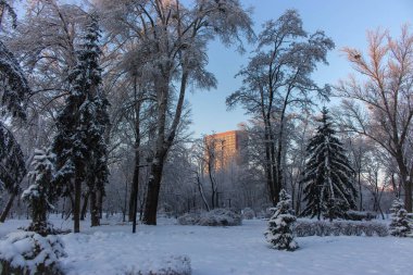 Kyiv şehir merkezindeki kış parkı. Karlı bir park ve arka planda güneşin doğduğu yüksek katlı bir apartman. Kış Kyiv dönüm noktası. Soğuk kış havası. Şehir merkezinde kar yağışı. Güneşli bir günde binalar ve sokaklar karla kaplı.