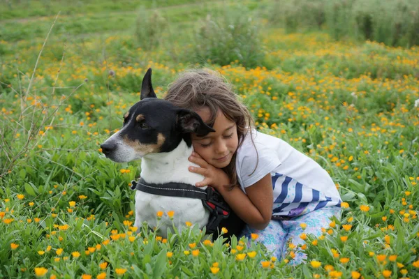 Mooie Terrier Een Weide Met Haar Vriend Een Jarig Meisje — Stockfoto