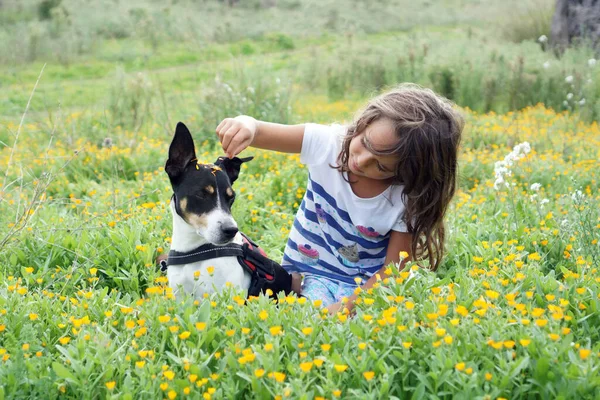 Mooie Terrier Een Weide Met Haar Vriend Een Jarig Meisje — Stockfoto