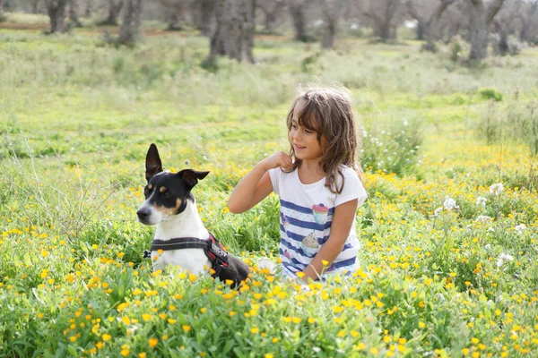 Mooie Terrier Een Weide Met Haar Vriend Een Jarig Meisje — Stockfoto