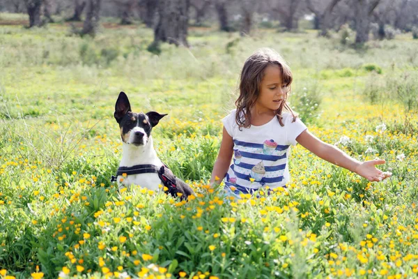 Mooie Terrier Een Weide Met Haar Vriend Een Jarig Meisje — Stockfoto