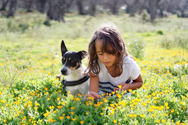 Mooie Terrier Een Weide Met Haar Vriend Een Jarig Meisje — Stockfoto