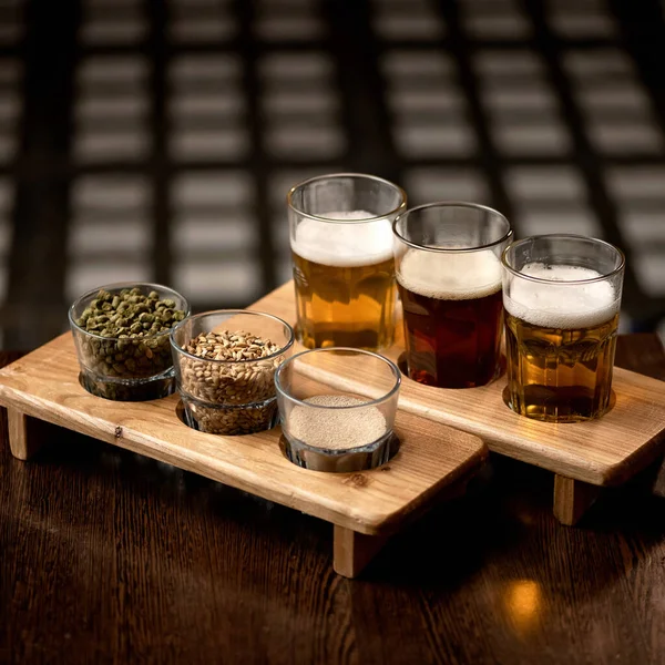 Různé druhy piva a přísady pro jeho přípravu. Sklenice s pěnivým alkoholickým nápojem a sladu na dřevěných stojanech. degustační řemeslná piva — Stock fotografie