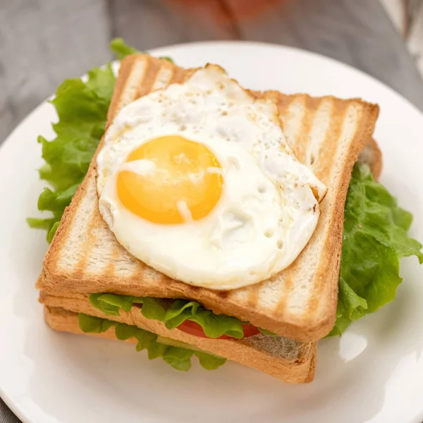 Breakfast sandwich. Grilled bread ot toasts with lettuce and fried egg on top. Close-up shot. Soft focus