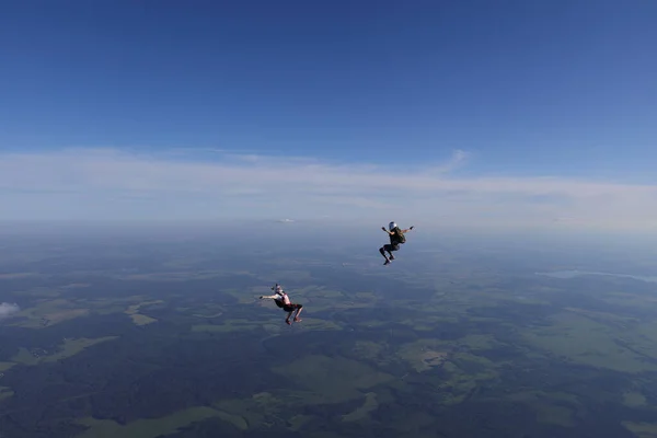 Skydiving Salta Livremente Mergulhadores Estão Divertindo — Fotografia de Stock