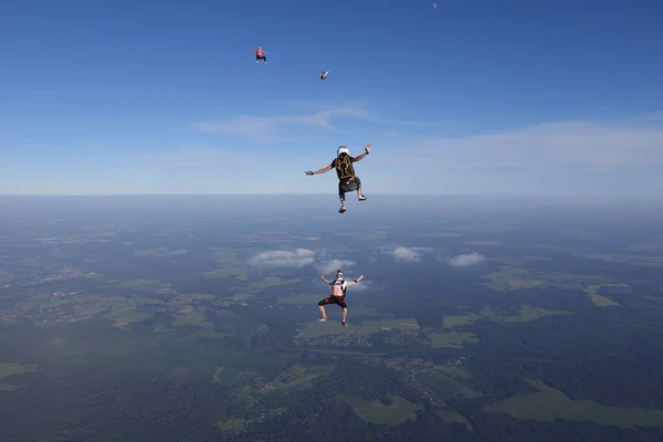 Hava Dalışı Serbest Atlayış Paraşütçüler Eğleniyor — Stok fotoğraf